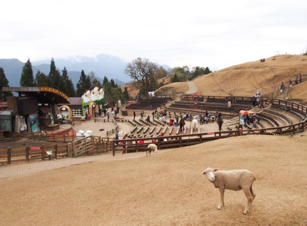 Taiwan-La-Fatte-Bridal-Studio-Pre-Wedding-Photoshoot_21