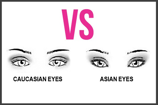 Crease and Contour Eyeshadow: Asian Eyes VS Caucasian Eyes